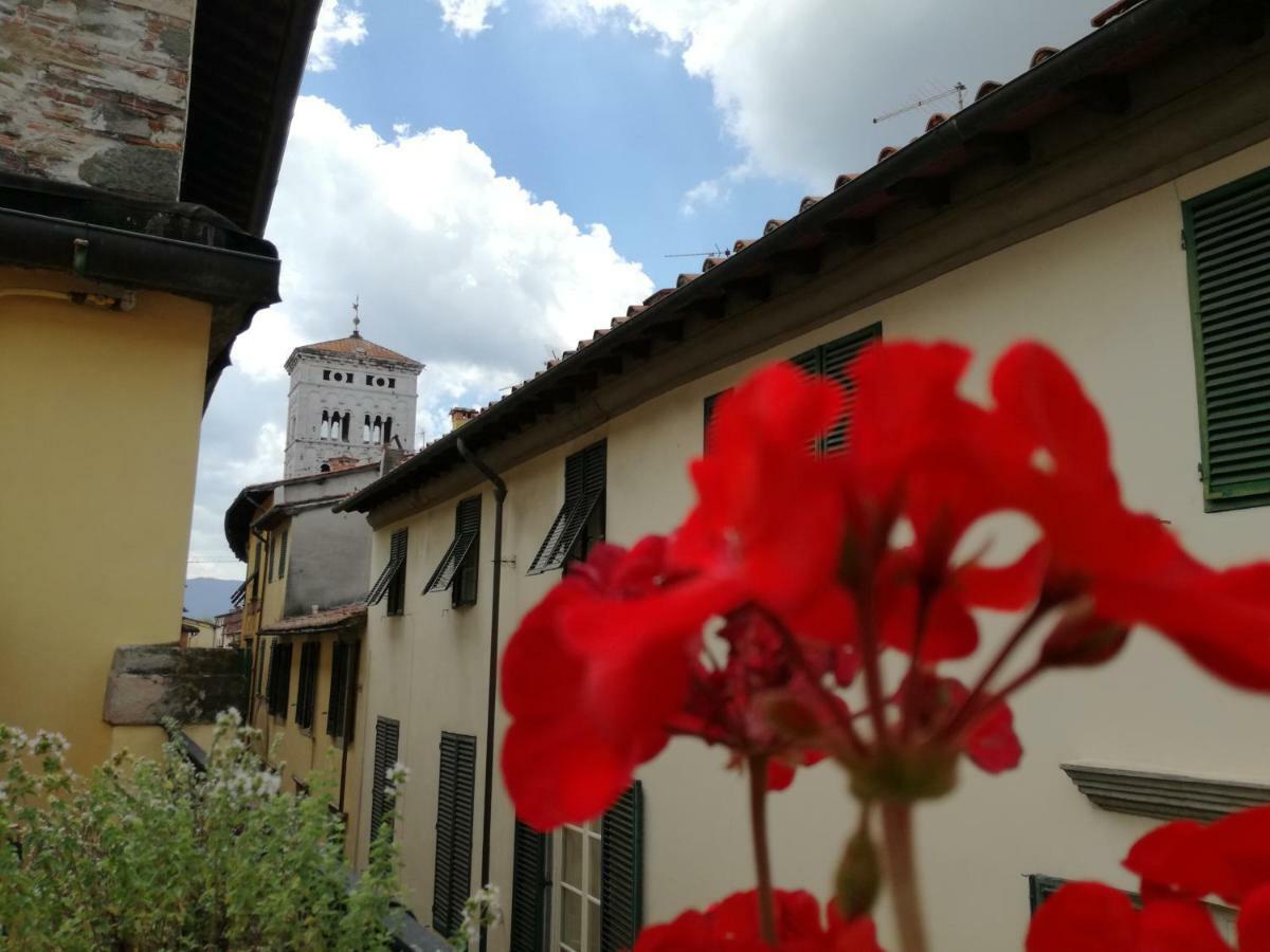 Apartment Pietrarosa *