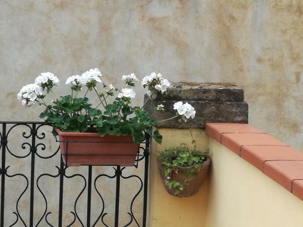 Apartment Pietrarosa